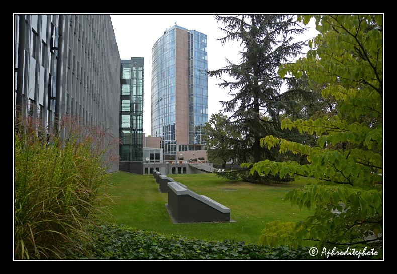 174 Le batiment OMPI et son jardin arborise